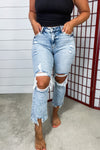 Rizzo High Rise Crop Straight Jeans